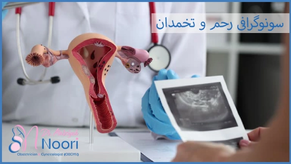 سونوگرافی رحم و تخمدان