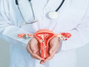 Hysterectomy surgeon